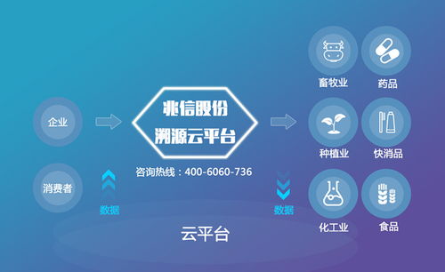 兆信股份信息咨詢(xún)服務(wù)視角 建立農(nóng)產(chǎn)品溯源系統(tǒng)的核心價(jià)值